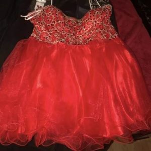 Homecoming dress or any formal